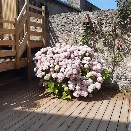 Nature - Gite Entierement Neuf A 100M De La Plage Wimereux Exterior foto